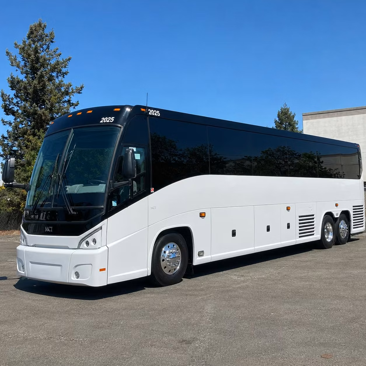 56 passenger charter bus